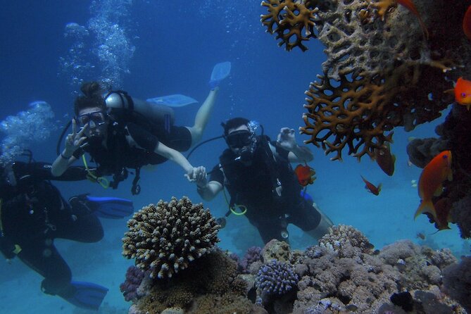 Antalya/Kemer: Scuba Diving with Pickup, Lunch, and 2 Dives - Key Things You Should Know Before You Go