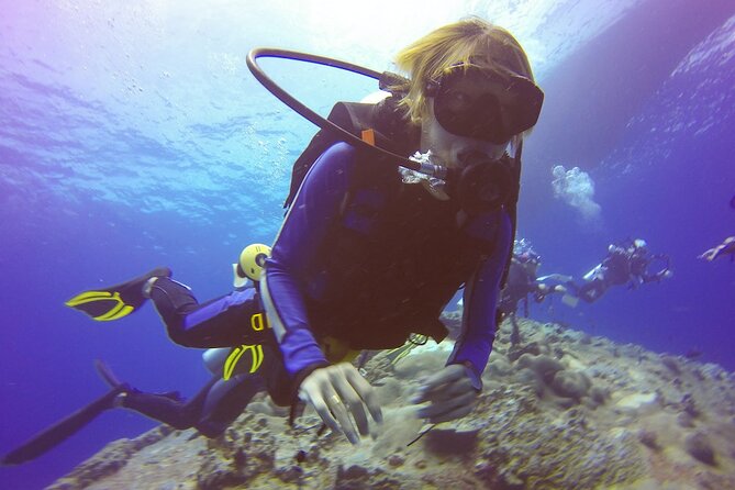Antalya/Kemer: Scuba Diving with Pickup, Lunch, and 2 Dives - Price And Value: What $24 Covers, And What Can Cost Extra