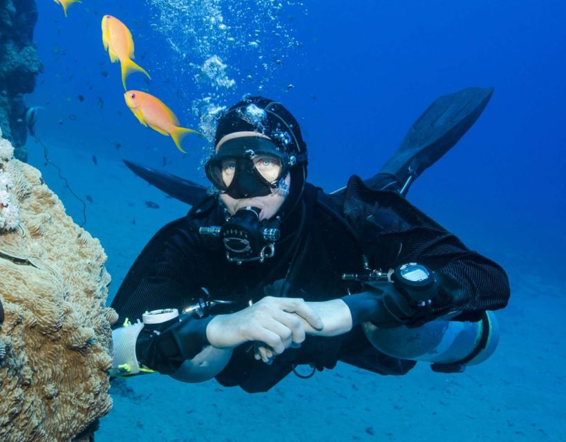 Antalya/Kemer: Scuba Diving with Pickup, Lunch, and 2 Dives - Weather Flexibility: What Happens In Winter Or Choppy Conditions