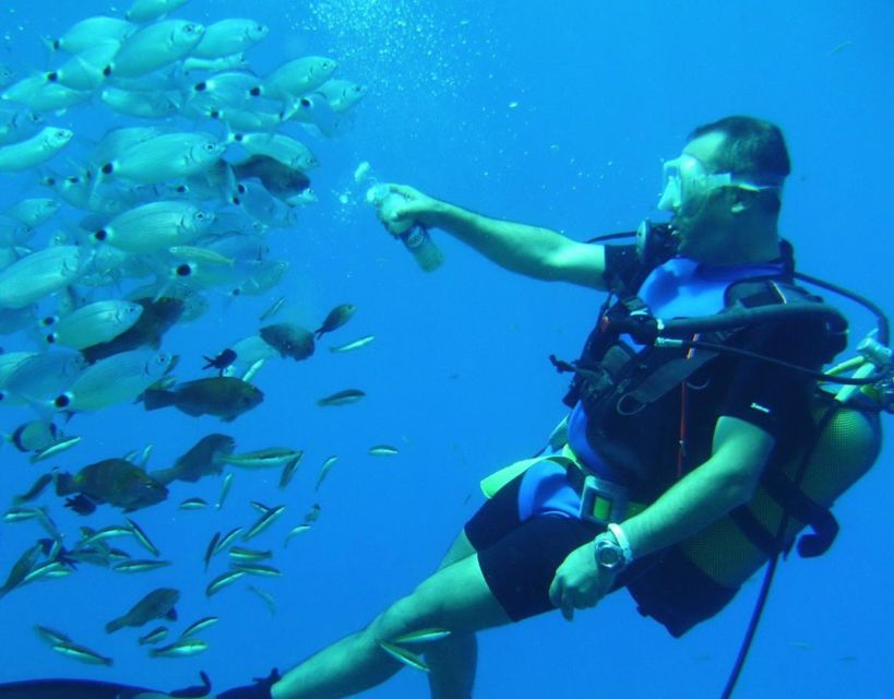 Antalya/Kemer: Scuba Diving with Pickup, Lunch, and 2 Dives - Who This Trip Fits Best, And Who Should Skip It
