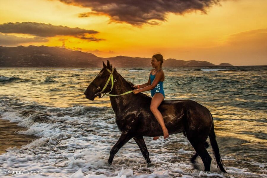 Antalya: Lara Beach & Forrest Horse Riding Safari - Lara’s Forest-to-Sea Route: Why This Safari Feels Special