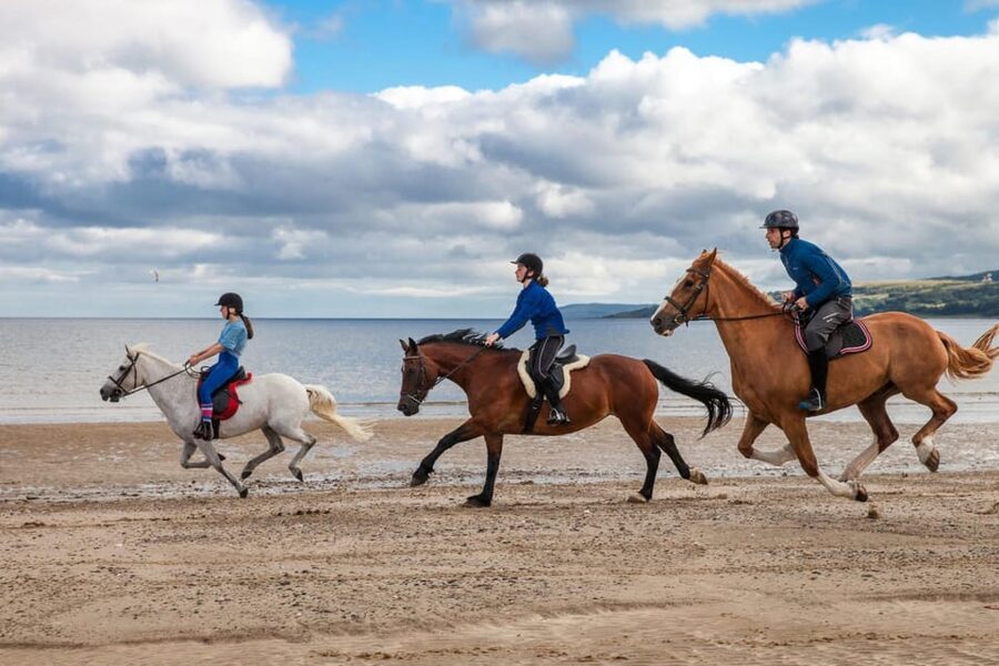 Antalya: Lara Beach & Forrest Horse Riding Safari - Guides and Group Style: What It’s Like in the Saddle