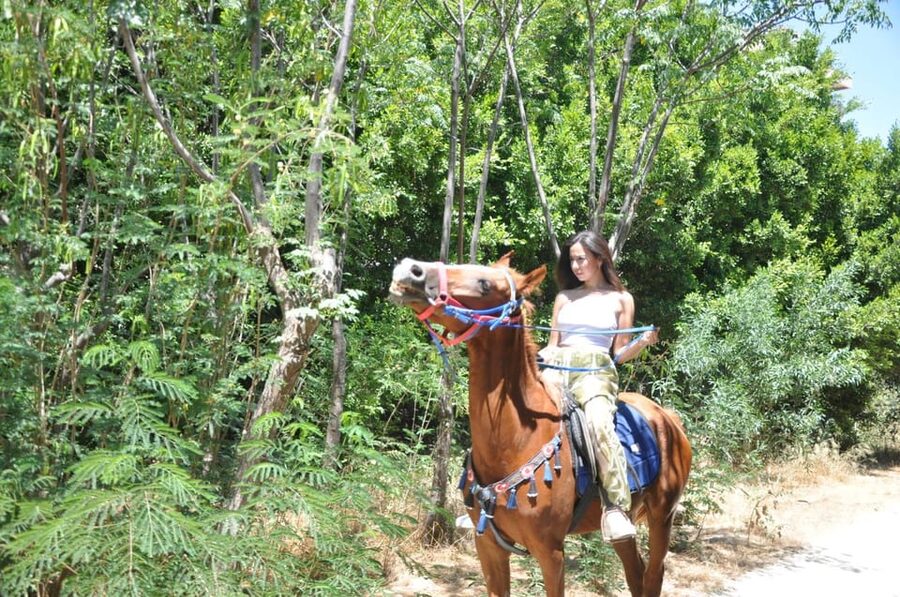 Antalya: Lara Beach & Forrest Horse Riding Safari - Pickup, Meeting Point, and How to Avoid the Usual Headache
