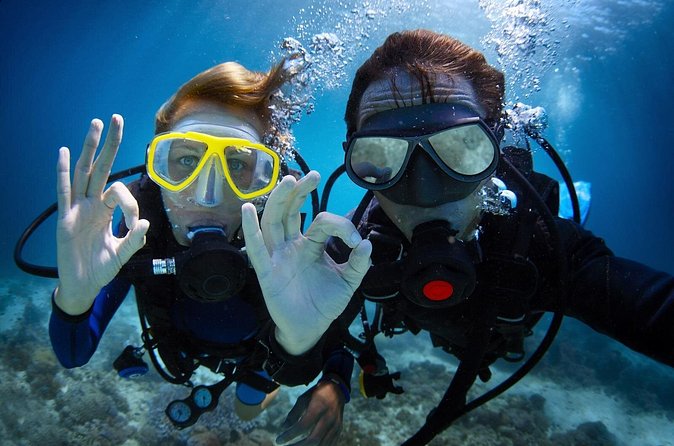Antalya Scuba Diving at Mediterranean Sea incl. Lunch - Price and Logistics: Is $42.05 Worth Your Day at Sea?
