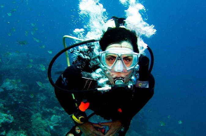Antalya Scuba Diving at Mediterranean Sea incl. Lunch - The Most Common Pain Points to Watch For