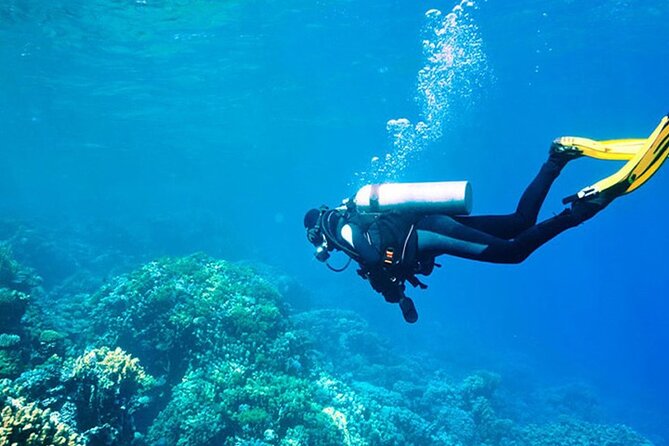 Antalya Scuba Diving With Transfer From Belek,Lara,Kemer Hotels - From Belek and Lara to Kemer Harbor, How the Day Starts