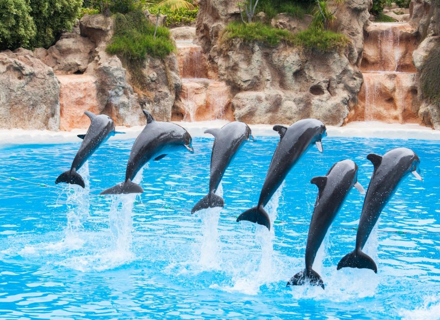 Antalya: The Land Of Legends Ticket Theme Park w/ Transfer - Waterfront Kingdom: Dolphins, Belugas, Walruses, and Aquarium Time