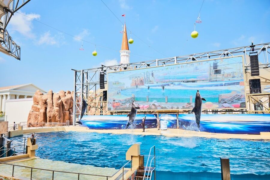 Antalya: The Land Of Legends Ticket Theme Park w/ Transfer - Timing and Crowd Tips for a Smooth Full Day