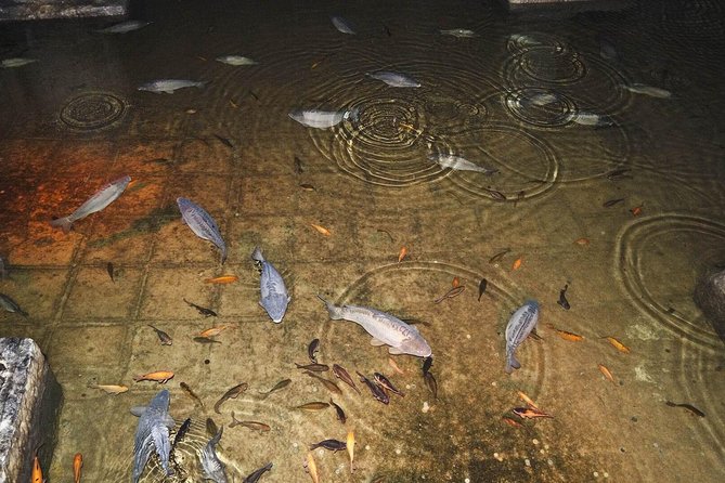 Basilica Cistern Skip the Line Ticket - Who should book this skip-the-line cistern ticket