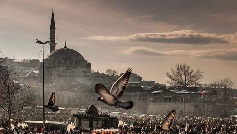Best Of Istanbul 1, 2 or 3-Day Private City Guided Tour - A private Istanbul route that actually makes sense