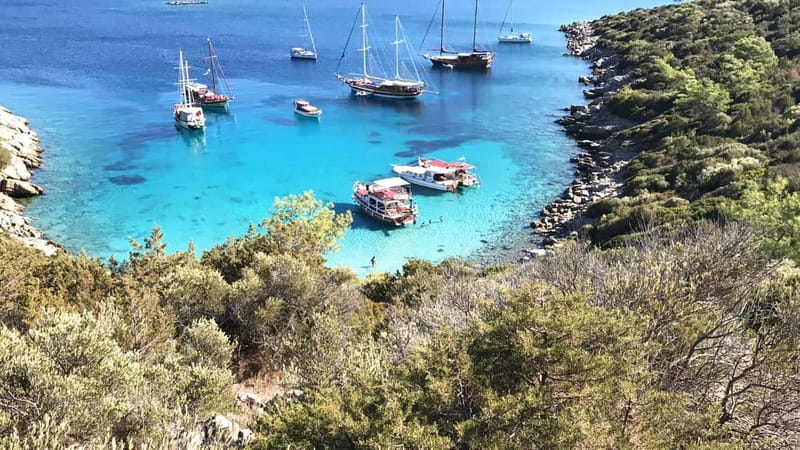 Bodrum: Boat Tour for Mein Schiff and Aida Cruise Passengers - Getting Started at Halikarnas Harbor, and What That Means for Your Day