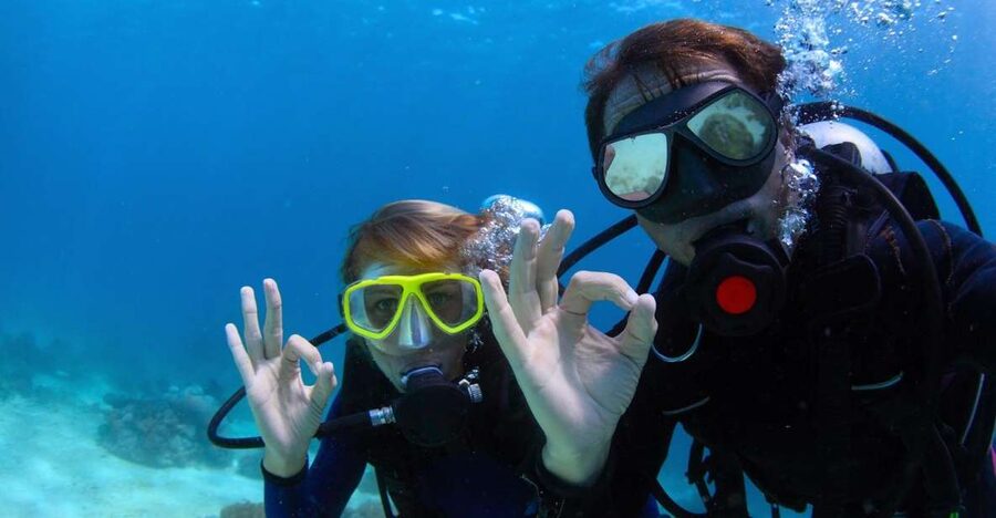 Bodrum: Full-Day Scuba Diving Tour - Why Bodrum Works So Well for Your One Underwater Session