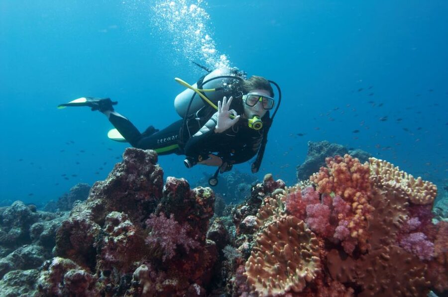 Bodrum: Full-Day Scuba Diving Tour - Lunch on the Boat: The Part You Will Appreciate More Than You Think