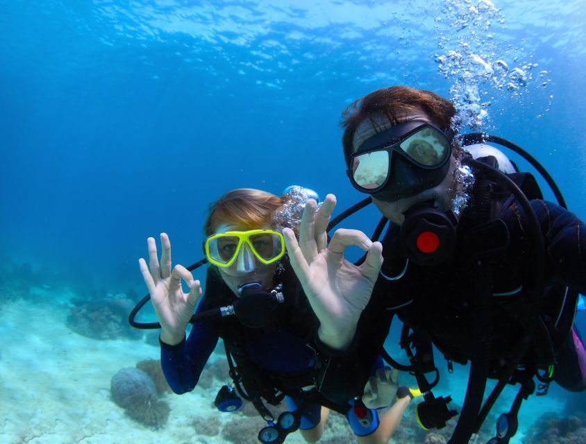 Bodrum: Full-Day Scuba Diving Tour - Price and Value: Is $93 Fair for a Full-Day Sea Day?