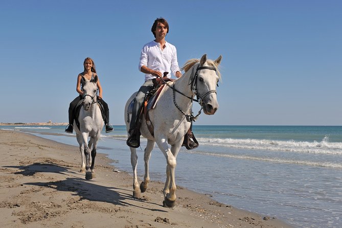 Bodrum Horseback Riding Experience with Hotel Transfer - The ride itself: pine forests, a mountain river feel, and slow scenic pacing