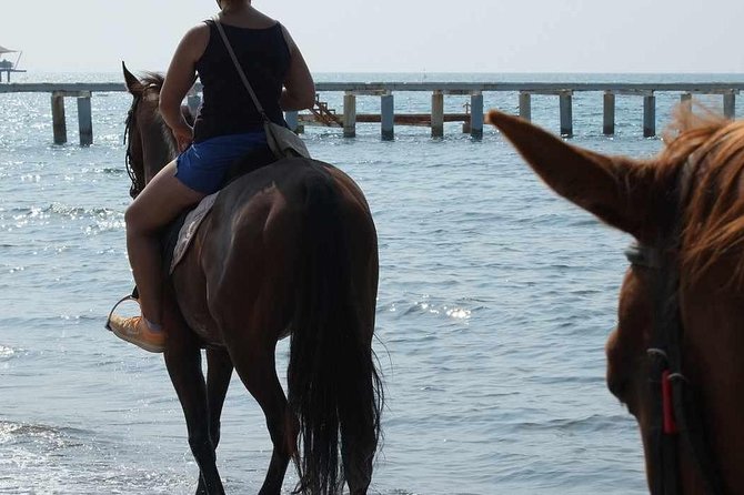 Bodrum Horseback Riding Experience with Hotel Transfer - What to wear and bring for comfort