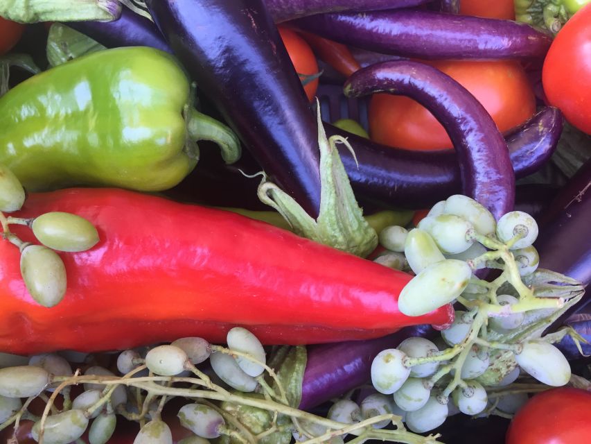 Bodrum: Market Visit and Cooking Class - Quick hits