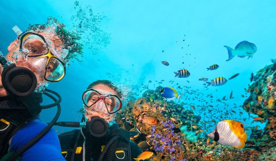 Bodrum: Scuba Diving Briefing & Diving Experience - Key highlights that matter in real life