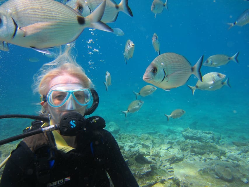 Bodrum: Scuba Diving Trip with Lunch - Key Things You’ll Notice