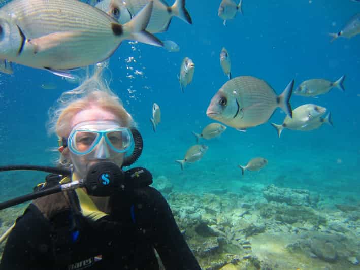 Bodrum: Scuba Diving Trip with Lunch - Getting Started at Halikarnas Harbour, and Why Timing Matters