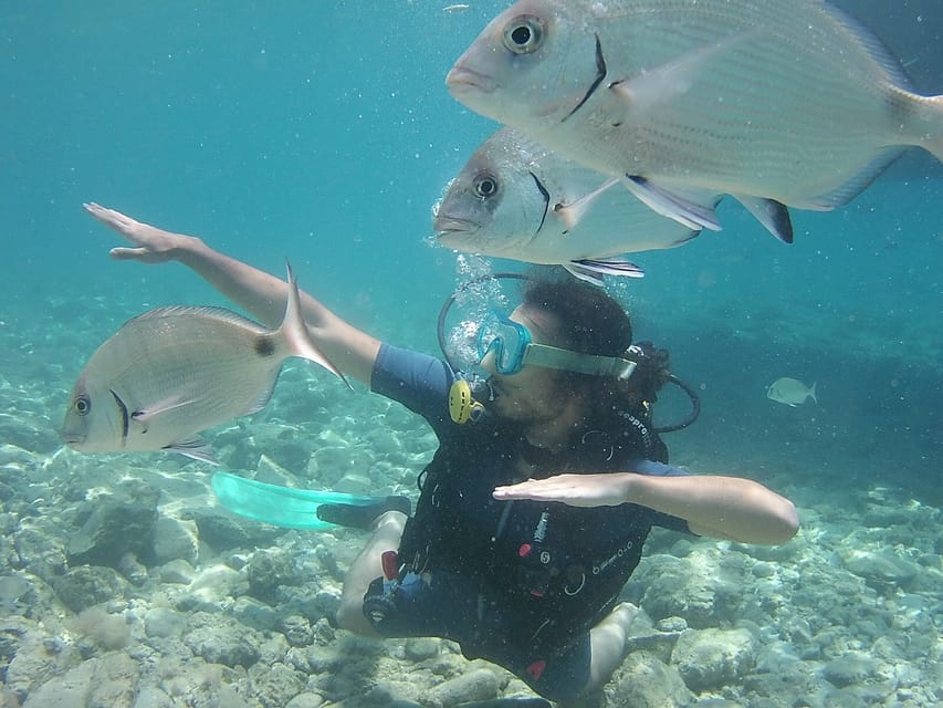 Bodrum: Scuba Diving Trip with Lunch - The Scuba Setup: What Beginner-Friendly Coaching Really Means