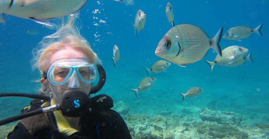 Bodrum: Scuba Diving Trip with Lunch - Boat Ride Vibes and How to Stay Comfortable