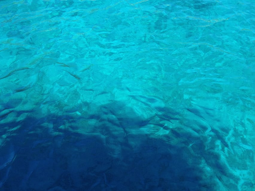 Bodrum: Scuba Diving Trip with Lunch - Pickup in Bodrum, Icmeler, and Gümbet (and How It Changes Your Day)
