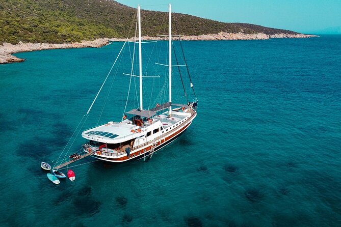 Bodrum Vip Private Gulet Tour - Private by Design: Group Size, Transfers, and Comfort