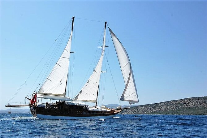 Bodrum Vip Private Gulet Tour - Price and Value for Up to 8 People