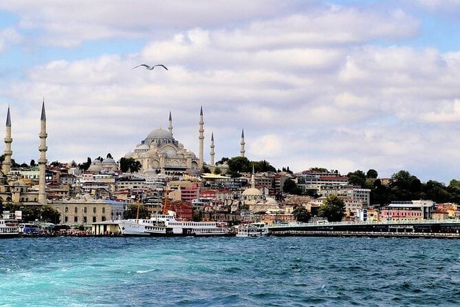 Bosphorus Cruise Tour Istanbul - Food and drink included: what you’ll actually get