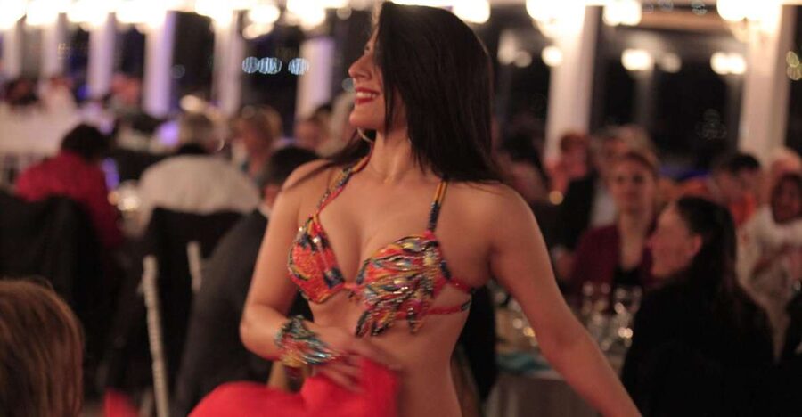 Bosphorus Dinner Cruise with Live Performances Experience - Should you book the Bosphorus Dinner Cruise?