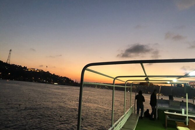 Bosphorus Explorer: 3-Hour Cruise with Asian Side Visit - Price and value: what $12.09 gets you on the Bosphorus