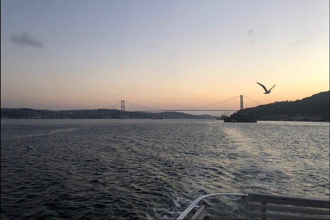 Bosphorus Explorer: 3-Hour Cruise with Asian Side Visit - Europe to Asia by boat: the landmark run you will actually remember