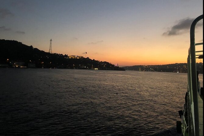 Bosphorus Explorer: 3-Hour Cruise with Asian Side Visit - Galata and the Golden Horn connections: tower, bridge, and art museum sights