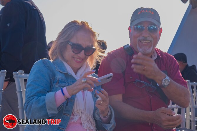 Bosphorus Sightseeing Cruise Tour with Audio Guide - How the Smartphone Audio Guide Actually Works (No App Required)