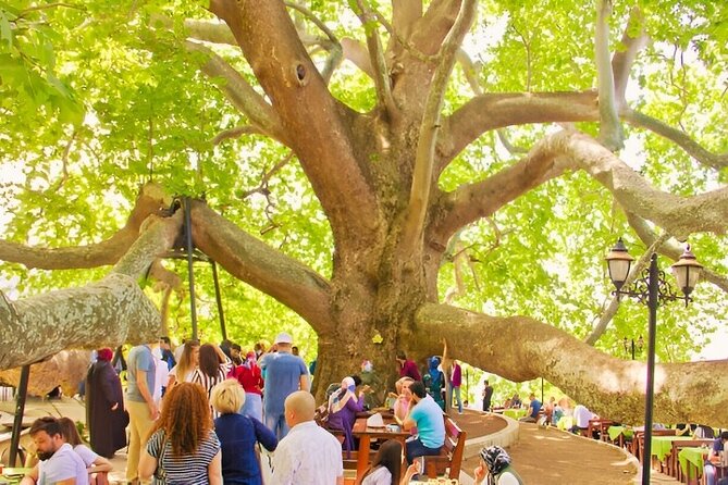 Bursa And Uludağ Tour From İstanbul with Cable Car & Lunch - Bursa City Time: Quick Orientation and the Turkish Delight Break
