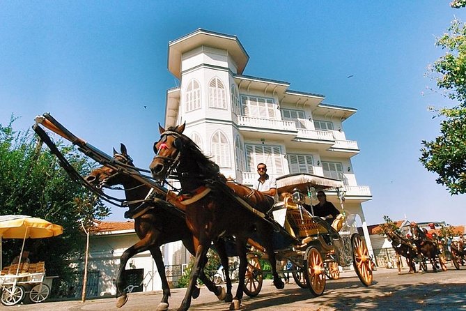 Buyukada Princes’ Island Guided Day Tour with lunch from Istanbul - Büyükada first steps: car-free rules and the carriage ride