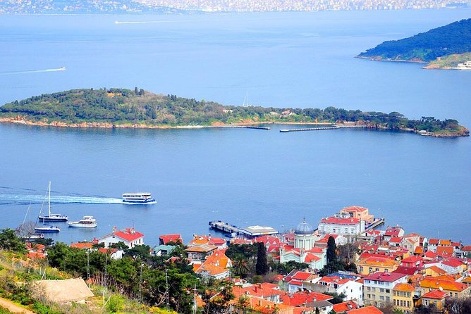 Buyukada Princes’ Island Guided Day Tour with lunch from Istanbul - Lunch at a fish restaurant: filling, but basics happen