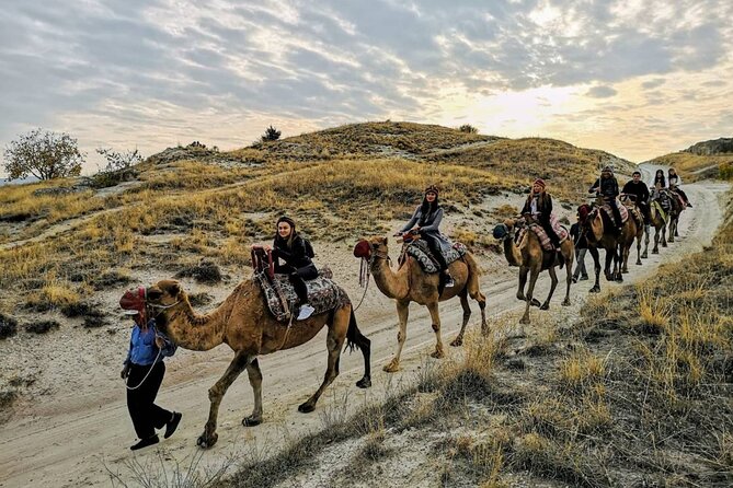 Camel Safari in Cappadocia - Price and Value: Why $59 Makes Sense for This Short Format