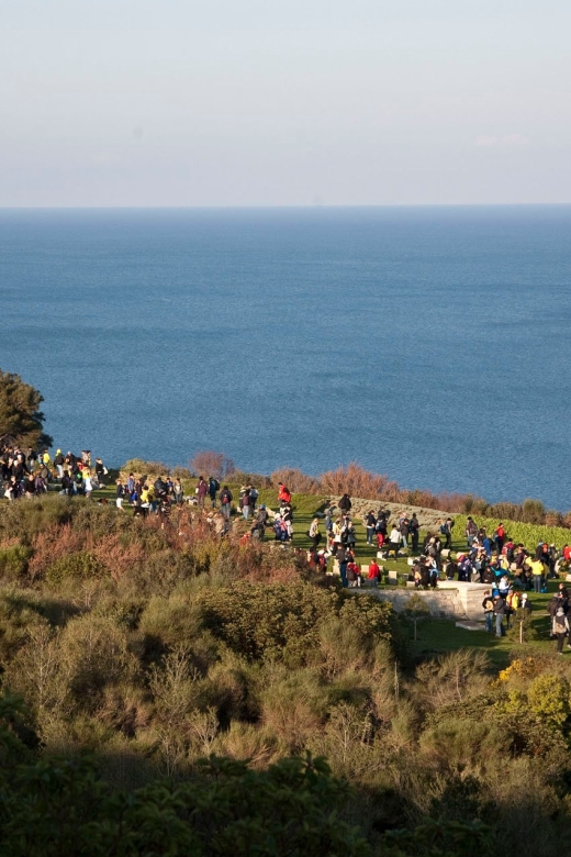 Canakkale: 6-Hour Gallipoli Tour with Lunch - Brighton Beach and ANZAC Cove: the landings you can actually picture