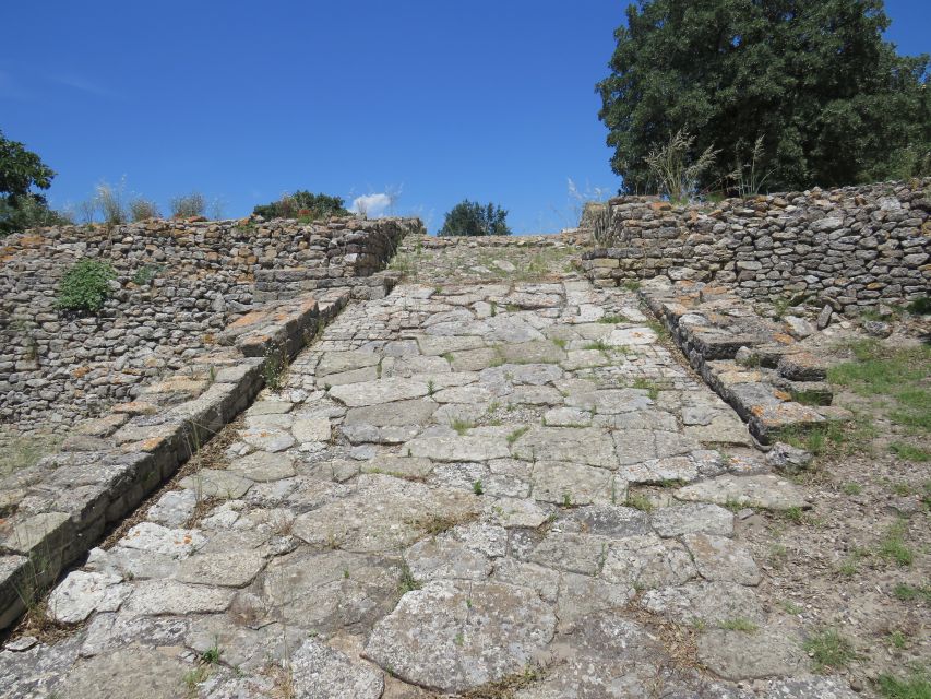 Canakkale: Full-Day Troy and Gallipoli Tour - Who this tour fits best