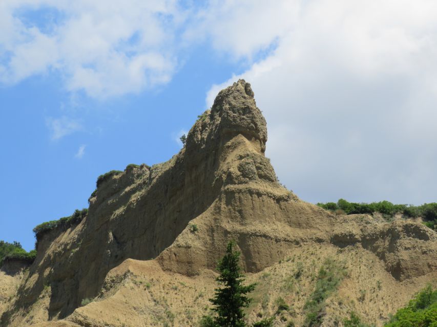Canakkale: Full-Day Troy and Gallipoli Tour - Should you book Canakkale: Full-Day Troy and Gallipoli Tour?