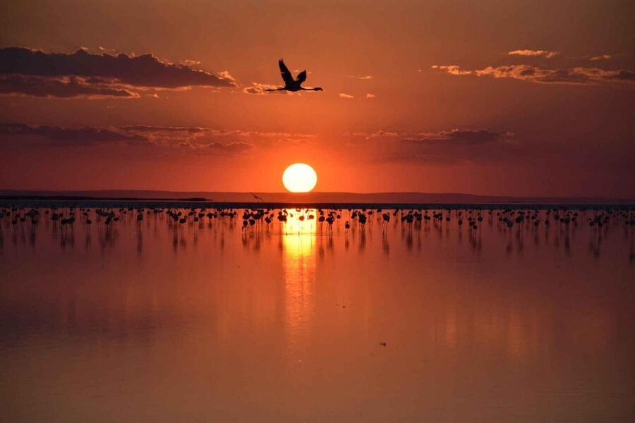 Cappadocia Amazing Sunset Tour To Salt Lake - Guides and the small details that make the day easier