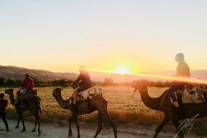 Cappadocia Camel Ride - Camel Ride in Goreme: What You Actually Get for $55