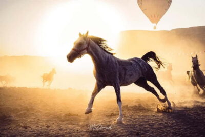 Fascinating Horse Tour in Göreme Valleys