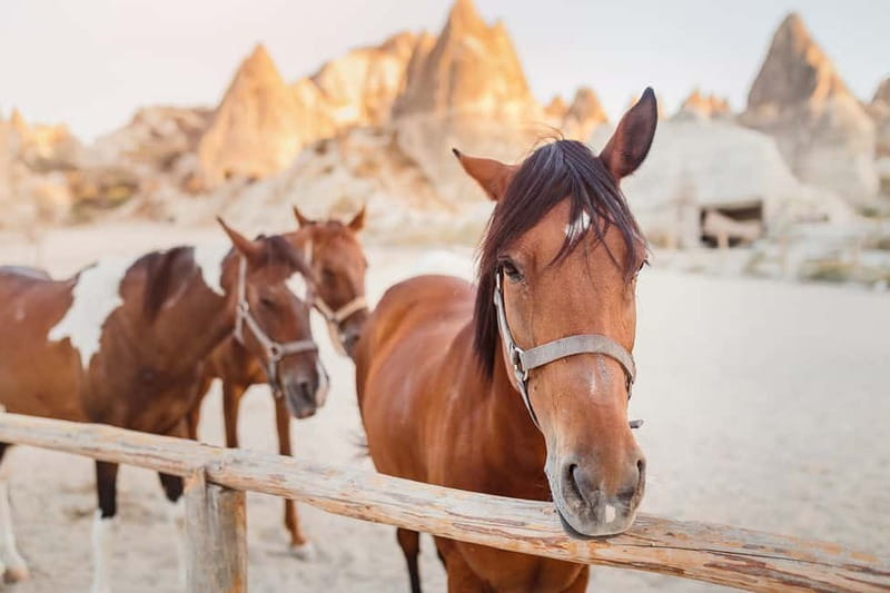 Cappadocia: Göreme Horse Riding, Fairy Chimneys w/Transfer - A Quick Reality Check on Timing