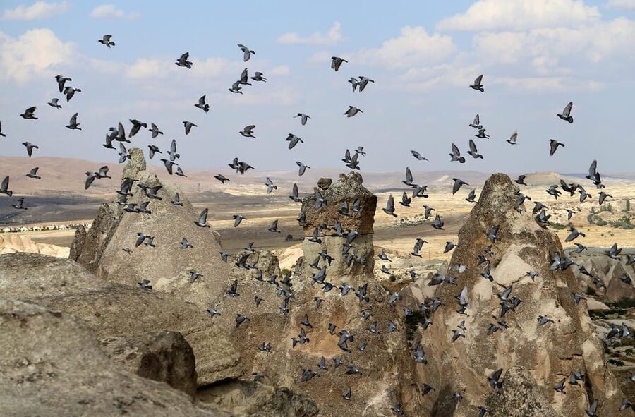 Cappadocia: Green Tour with Optional Lunch & Tickets - Yaprakhisar Panorama Lunch: Views + a Nearby Greek Village Story