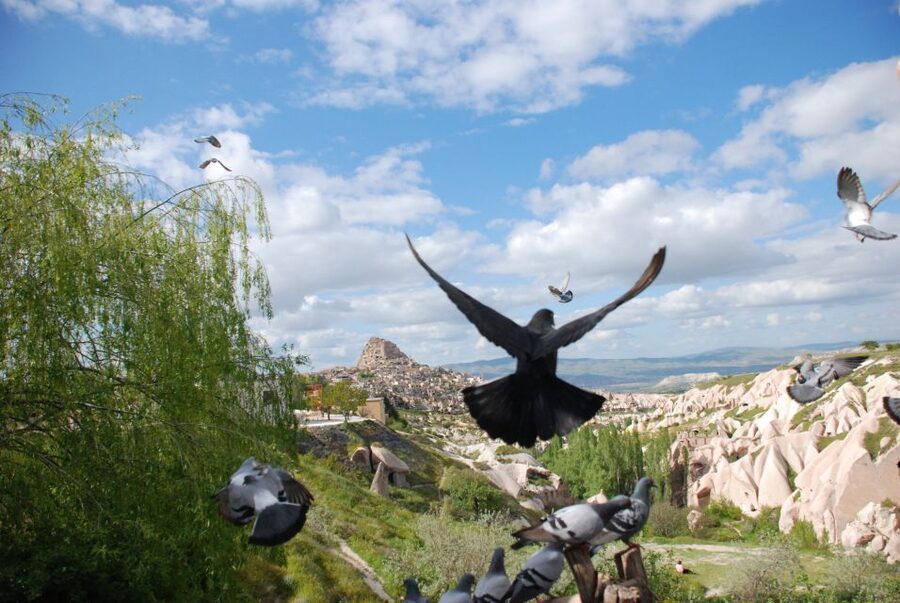 Cappadocia: Highlights Tour with Lunch and Entry Tickets - Avanos lunch plus craft workshops: why it’s more than a break
