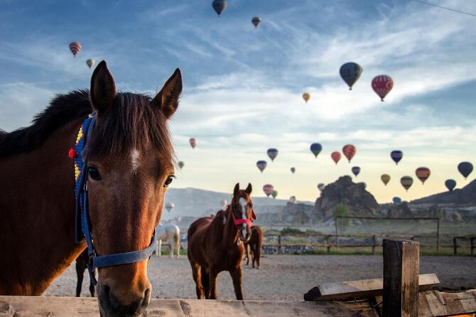 Cappadocia Horse Riding Experience Sunrise Sunset Daytime - Why This Cappadocia Horse Safari Feels More Local Than a Standard Tour