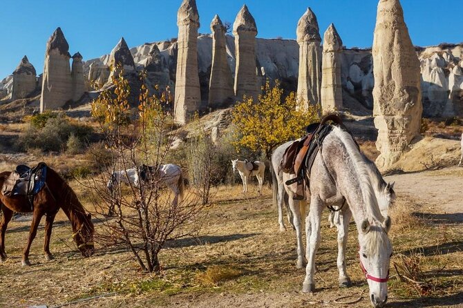Cappadocia Horse Riding Experience Sunrise Sunset Daytime - Timing Matters: Sunrise, Sunset, and the Balloon Backdrop